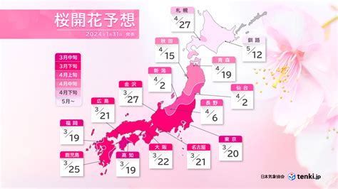 開花|桜開花・満開情報 2024